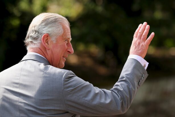 Prince Charles King of United Kingdom