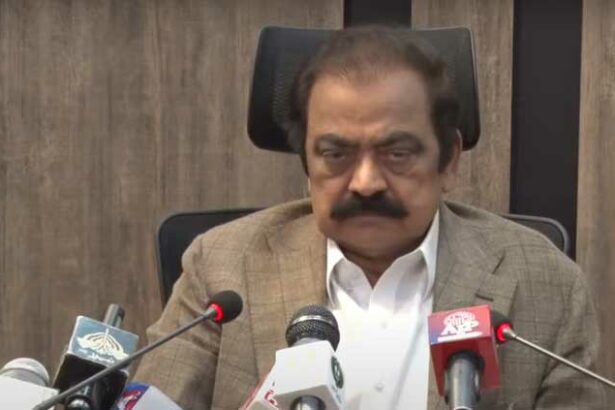 Interior Minister claims PTI is bringing arms to the capital