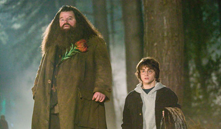 hagrid harry potter father