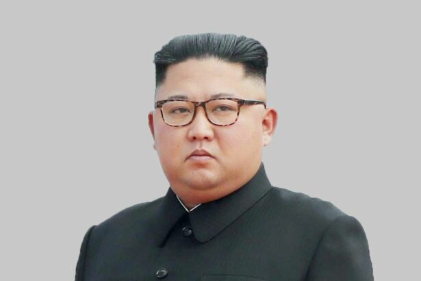 0 N Korean leader Kim