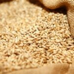 Govt starts the procedure to import extra wheat