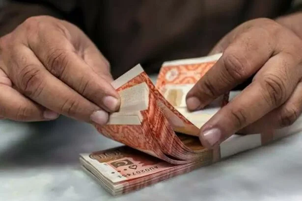 pakistani rupee
