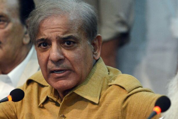 prime minister shehbaz